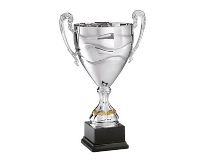 Eterspr 10 Pezzi Trofei Premi, Coppa per Trofei, Coppa Trofeo Bambini, per Compleanni di Bambini, Giornate Sportive Scolastiche e Celebrazioni, Regalini e Premi Eterspr 10 Pezzi Trofei Premi, Coppa per Trofei, Coppa Trofeo Bambini, per Compleanni di Bambini, Giornate Sportive Scolastiche e Celebrazioni, Regalini e Premi
